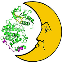 How many moonlighting proteins are there in a genome?